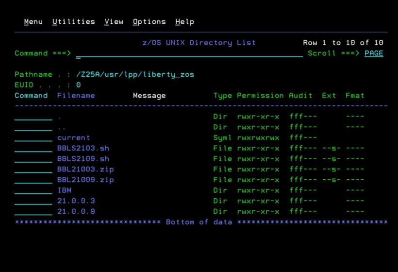 Emuframe image