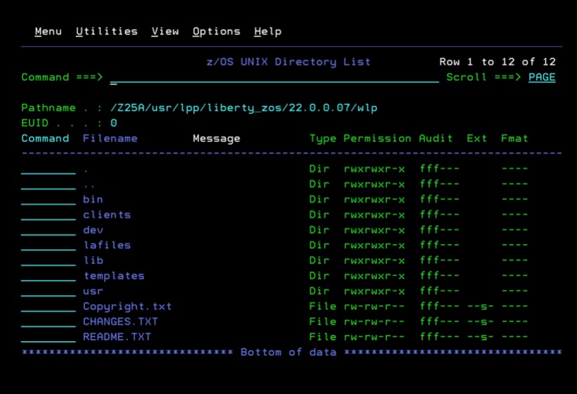 Emuframe image