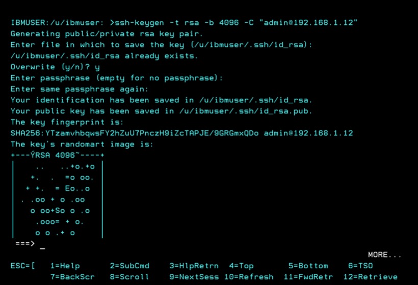 Emuframe image