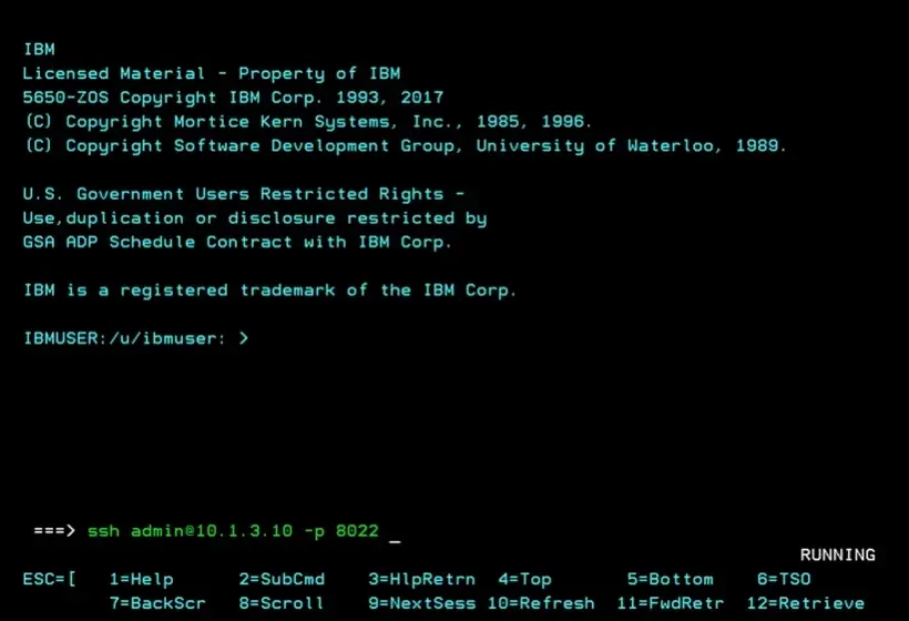 zCX - Create and Delete Instance – screenshot 39