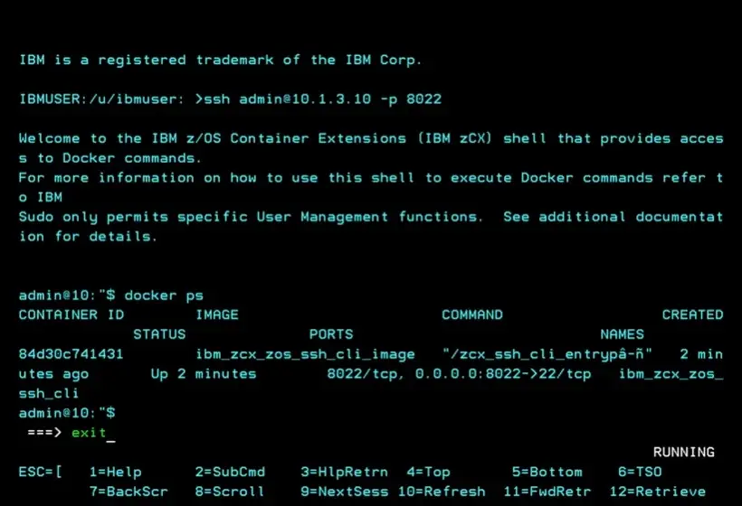 zCX - Create and Delete Instance – screenshot 41