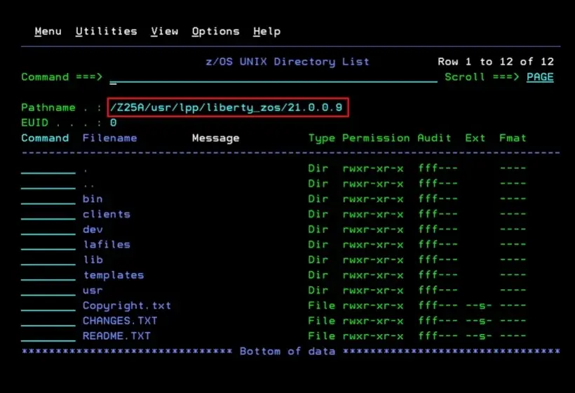 z/OSMF - Fix Error CWWKE0701E – screenshot 3